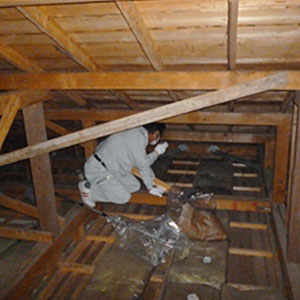 ネズミ等害獣調査の様子